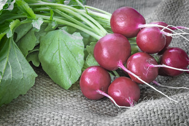 Similar image 13165502