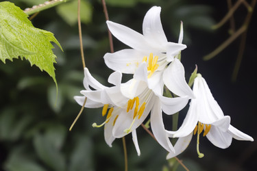 Similar image 13165504