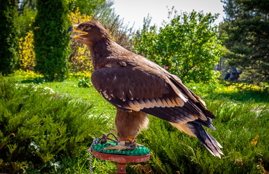 Similar image 13158389