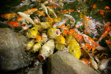 Similar image 13152442