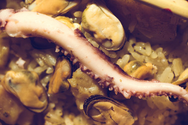 Similar image 13150728