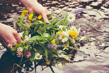 Similar image 13150733