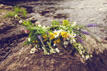 Similar image 13150734