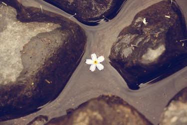 Similar image 13150735