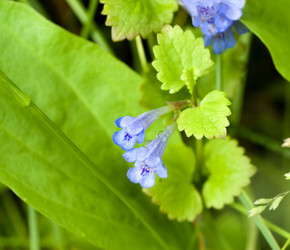 Similar image 13151112