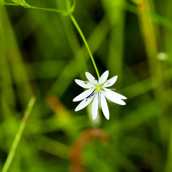 Similar image 13151131