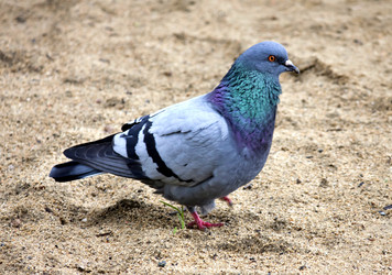 Similar image 13151935