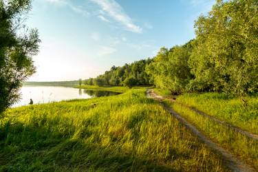 Similar image 13155399