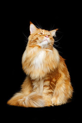 Similar image 13182690