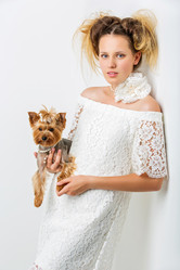 Similar image 13182949