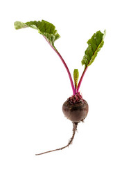 Similar image 13150272