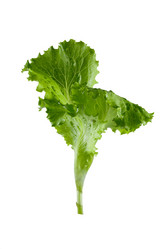 Similar image 13150273