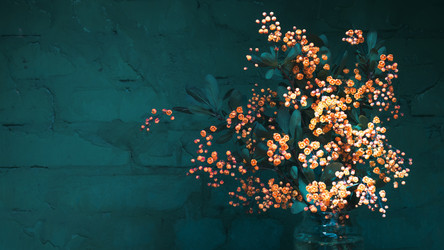 Similar image 13152483