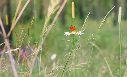 Similar image 13152484