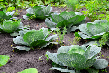 Similar image 13162054