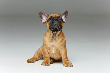 Similar image 13182950