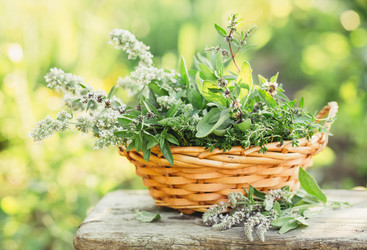 Similar image 13150509