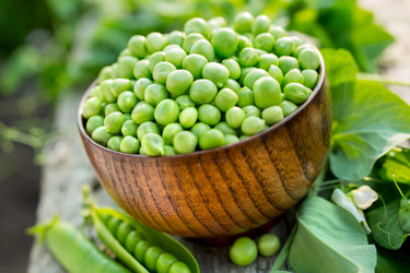 Similar image 13150517