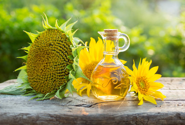 Similar image 13150541