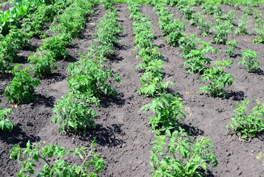 Similar image 13162122