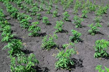 Similar image 13162123