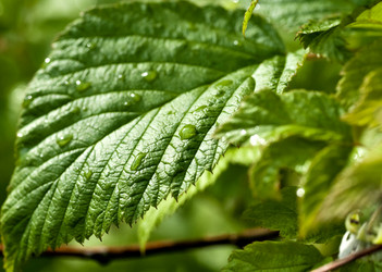 Similar image 13151953