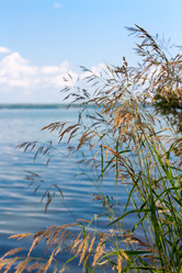 Similar image 13152523