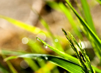 Similar image 13151991