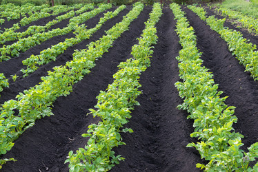 Similar image 13162058