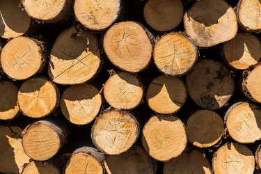 Similar image 13172926