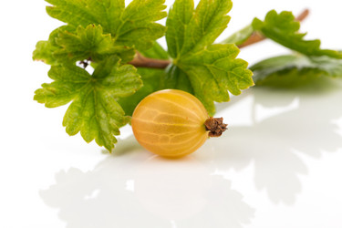 Similar image 13172966