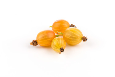 Similar image 13172967