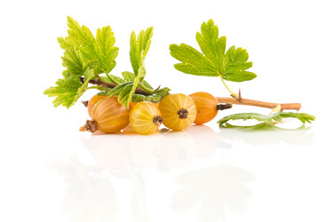 Similar image 13172968