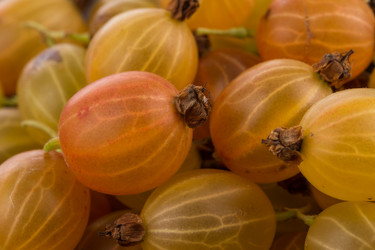 Similar image 13172969