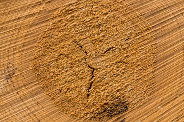 Similar image 13172972