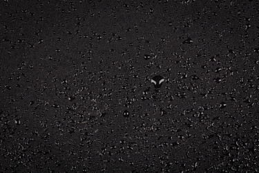 Similar image 13173007