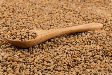 Similar image 13173012