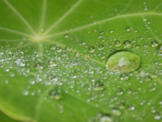 Similar image 13151597