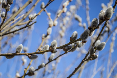 Similar image 13152459