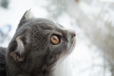 Similar image 13152461