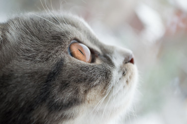 Similar image 13152462