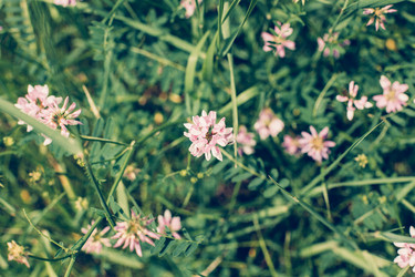 Similar image 13150743