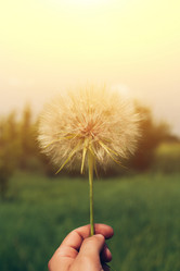 Similar image 13150745