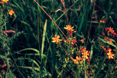 Similar image 13150746