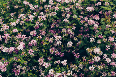 Similar image 13150750