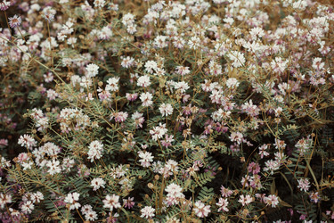 Similar image 13150751