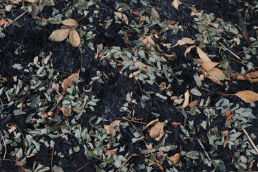 Similar image 13150757