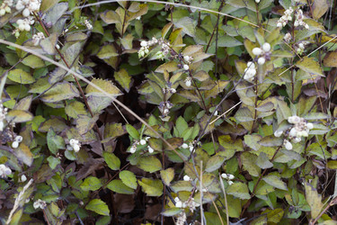 Similar image 13150759