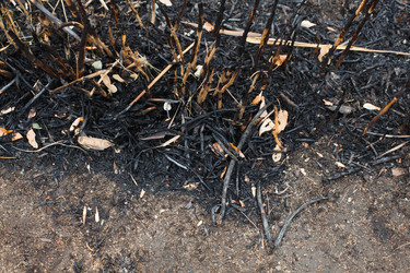 Similar image 13150760