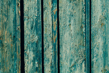 Similar image 13150761